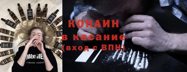 гашик Алексин