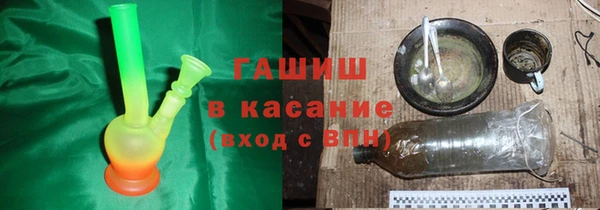 гашик Алексин