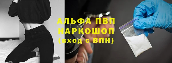 гашик Алексин