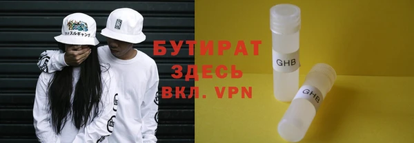 гашик Алексин
