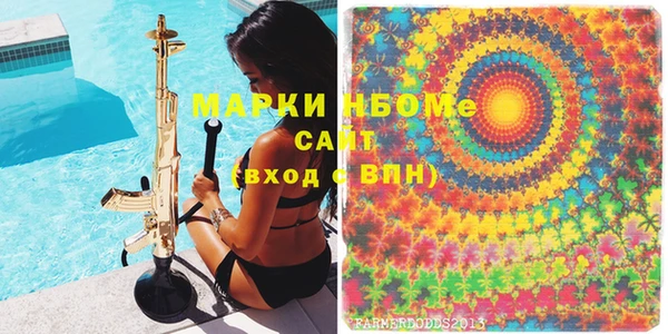 гашик Алексин